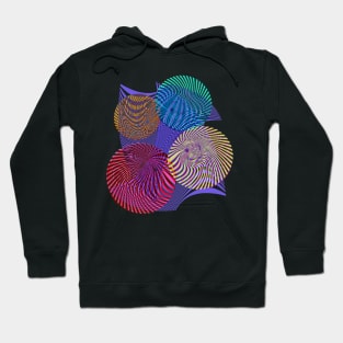 Optical illusion 5 Hoodie